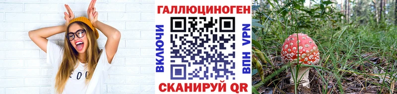 Галлюциногенные грибы прущие грибы  гидра   Буинск 